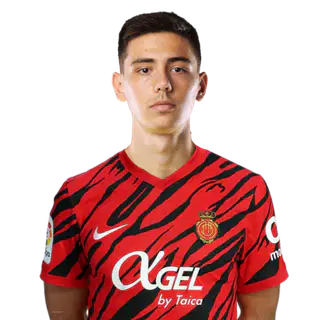 Деннис Хаджикадунич