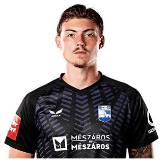 Никола Чавлина