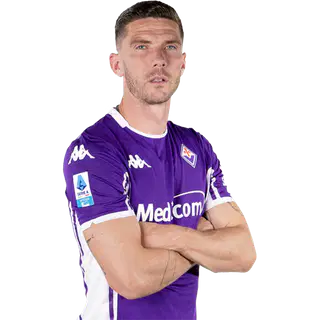 Робин Гозенс