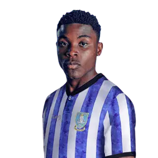 Физайо Деле-Баширу