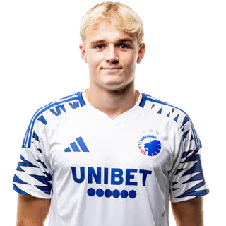 Виктор Фрохольдт