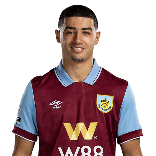 Анас Заррури